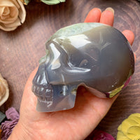 Druzy Agate Skull 1.2 lb