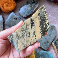 Ocean Jasper Standing Half Polished Slab