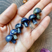 Mini Carved Mushroom (Choose Stone)