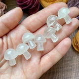 Mini Carved Mushroom (Choose Stone)