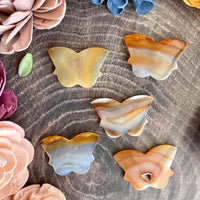 Carnelian Butterfly Cabochon