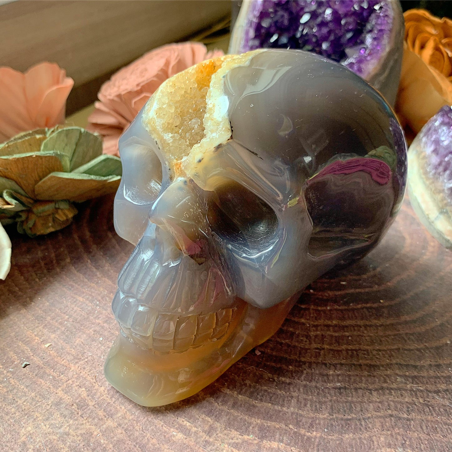 Druzy Agate Skull 2.5 lbs