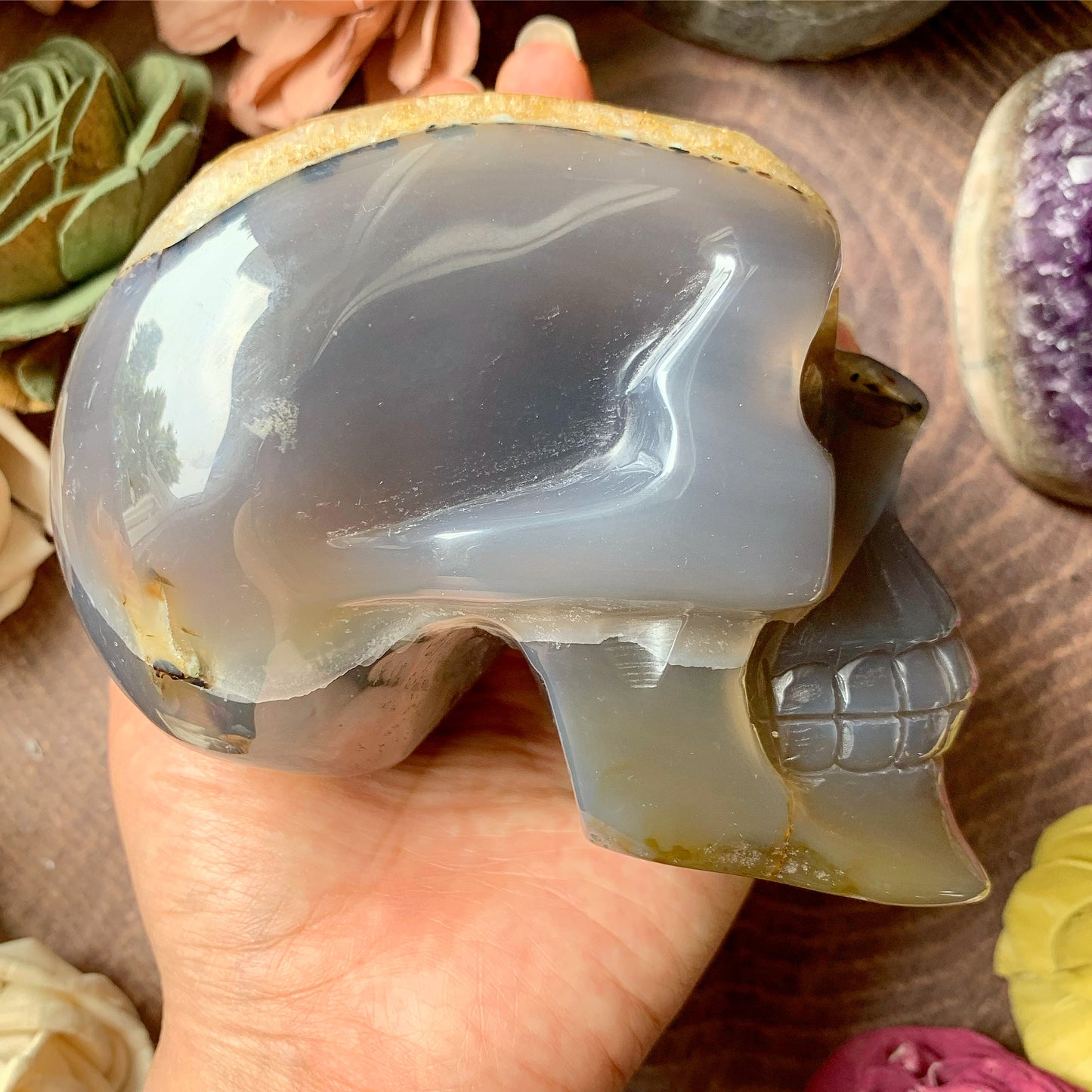 Druzy Agate Skull 2.5 lbs